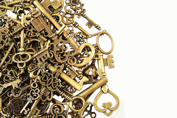 سیر تا پیاز غذای خانگی بچه گربه دو ماهه